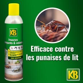 KB Rampants et volants sans insecticide aérosol image 2
