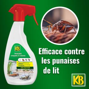 Pulvérisateur anti-insectes volants et rampants KB, 500ml