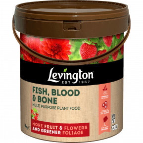 Levington® Fish, Blood & Bone Multi Purpose Plant Food main image