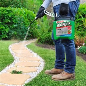 Roundup weed killer store for lawns