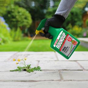 Roundup® Ready to Use Path Weedkiller image 2