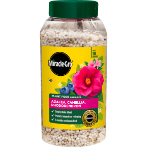 miracle-gro-azalea-camellia-rhododendron-continuous-release-900g-121065-2026.png
