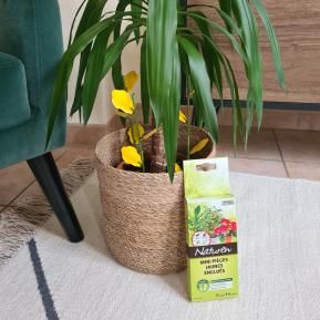 Naturen® Mini-pièges jaunes pour plantes de la maison et balconnières image 2