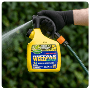 Scotts Lawn Builder Buffalo Weed, Feed & Green Up Refillable Bottle image 4