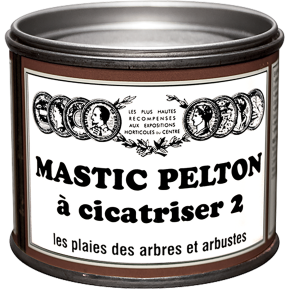 Pelton mastic à cicatriser main image