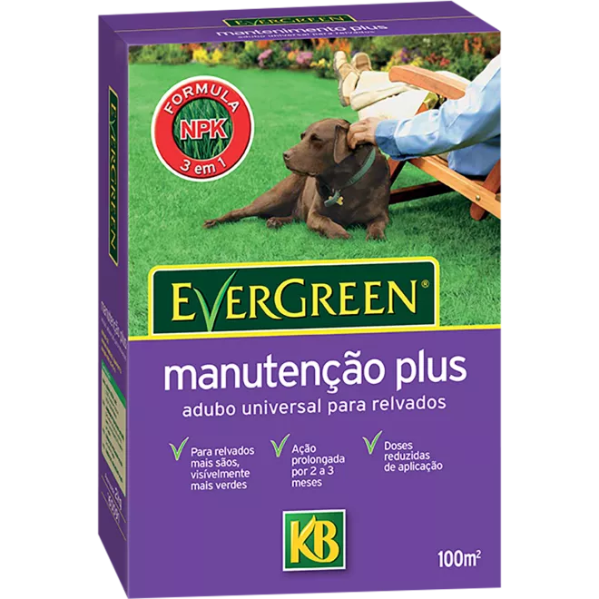 KB Adubo Evergreen Manutenção plus main image