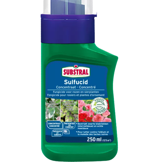 Substral® Sulfucid fongicide rosiers et plantes d'ornement main image