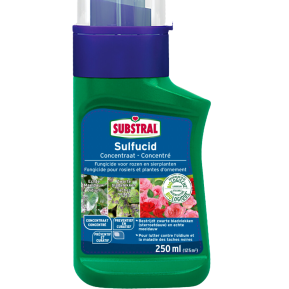Substral® Sulfucid fongicide rosiers et plantes d'ornement main image