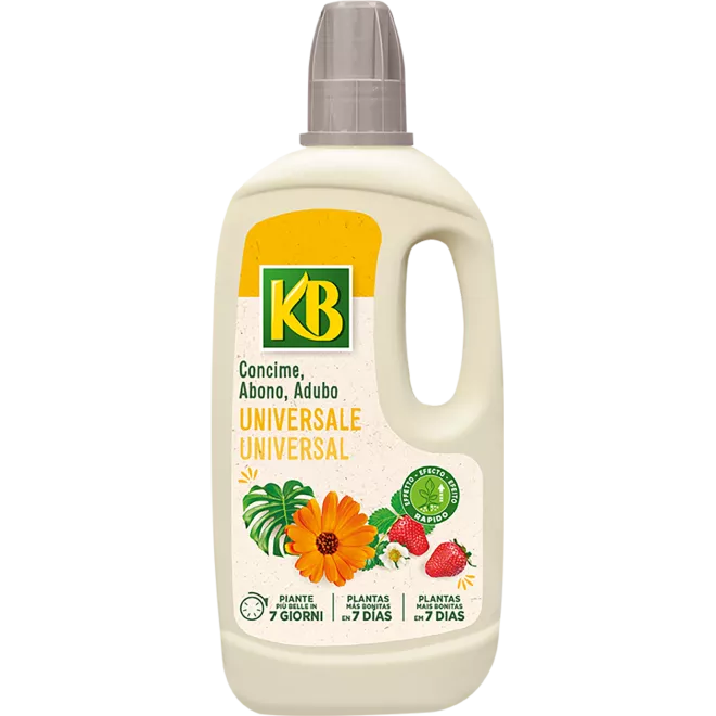 KB Abono universale main image