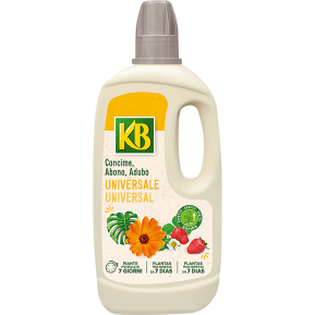KB Abono universale main image