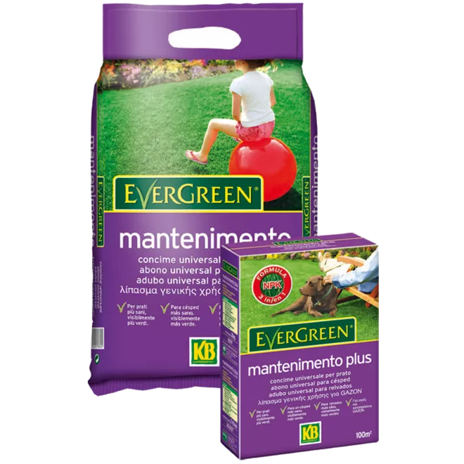 Adubo Evergreen mantenimento main image