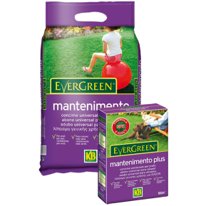 Adubo Evergreen mantenimento main image