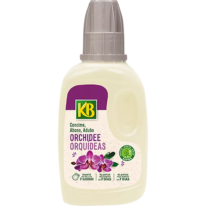 KB Orchidee main image