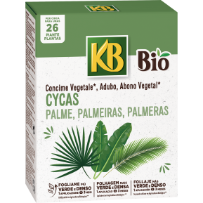 KB Concime cycas e palme main image