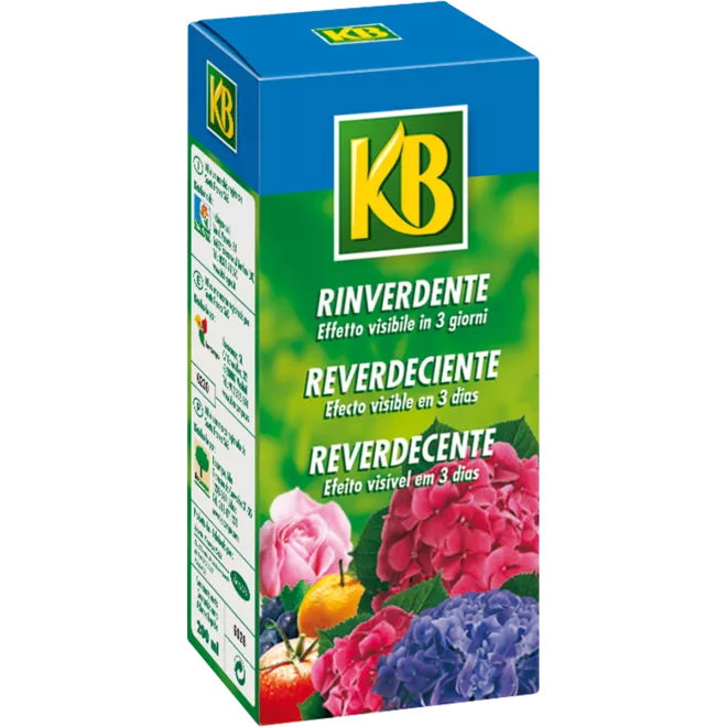 KB Reverdecente com ferro main image