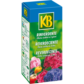 KB Reverdecente com ferro main image