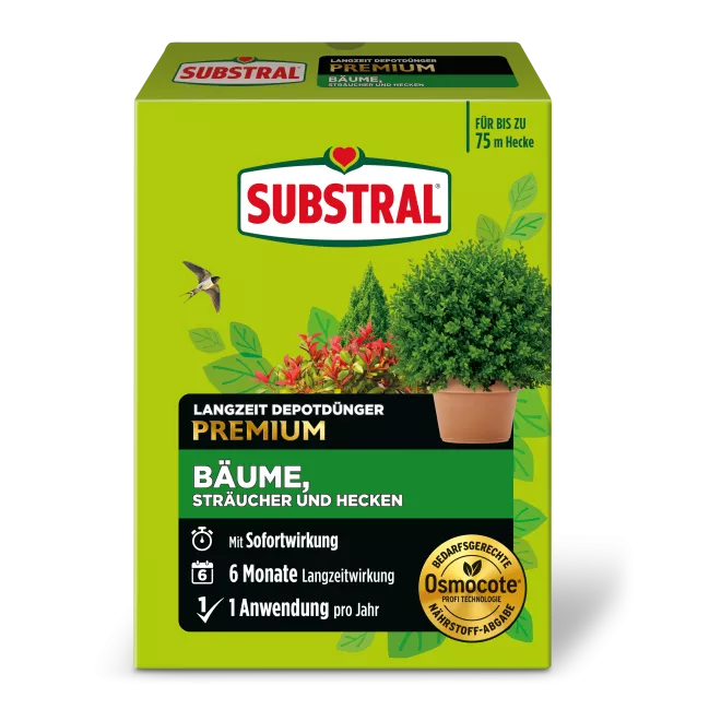 SUBSTRAL® Langzeit Depotdünger für Buchs & Hecken main image
