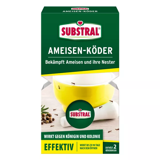 Ameisen-Köder main image