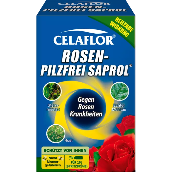 Celaflor® Rosen-Pilzfrei Saprol Konzentrat main image
