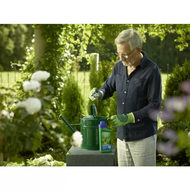 SUBSTRAL® Thuja-Vital image 4