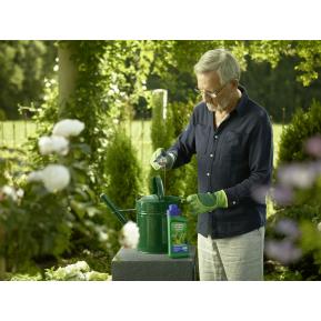 SUBSTRAL® Thuja-Vital image 4