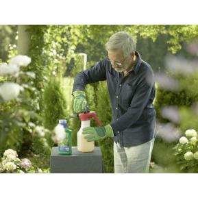 SUBSTRAL® Thuja-Vital image 5
