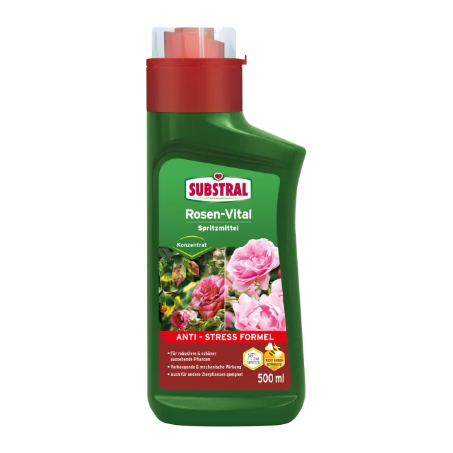 SUBSTRAL® Rosen-Vital main image