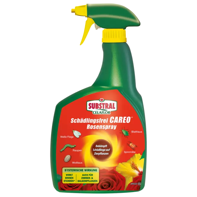 SUBSTRAL® Celaflor® Schädlingsfrei CAREO Rosenspray main image