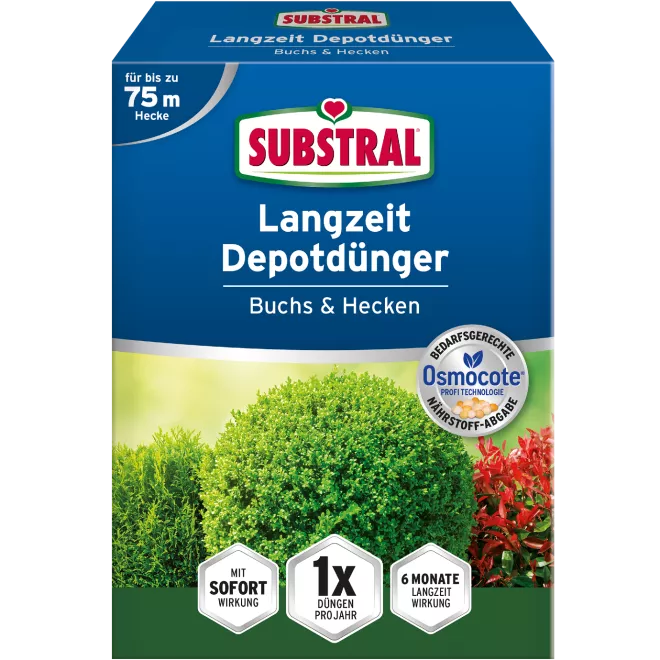 SUBSTRAL® Langzeit Depotdünger für Buchs & Hecken image 2