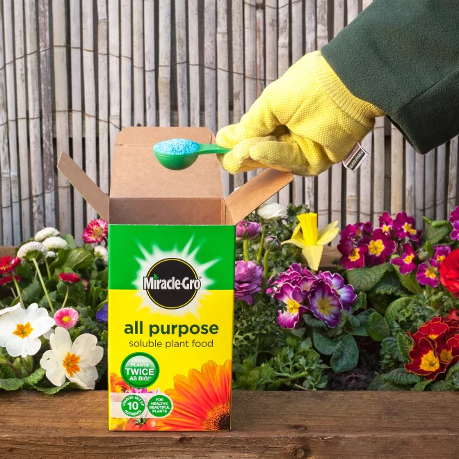 Miracle-Gro® All Purpose Soluble Plant Food image 2