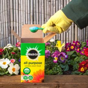 Miracle-Gro® All Purpose Soluble Plant Food image 2