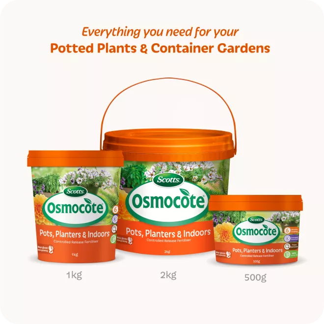 Scotts Osmocote Controlled Release Fertiliser for Pots, Planters image 8