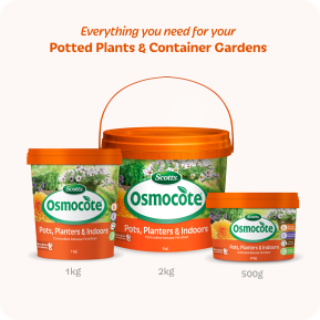 Scotts Osmocote Controlled Release Fertiliser for Pots, Planters image 8