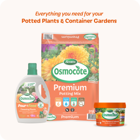 Scotts Osmocote Controlled Release Fertiliser for Pots, Planters image 7