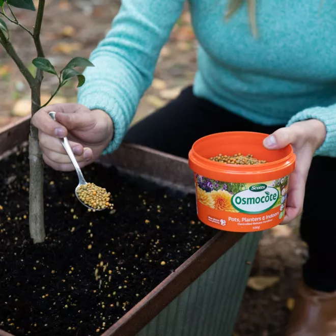 Scotts Osmocote Controlled Release Fertiliser for Pots, Planters image 5
