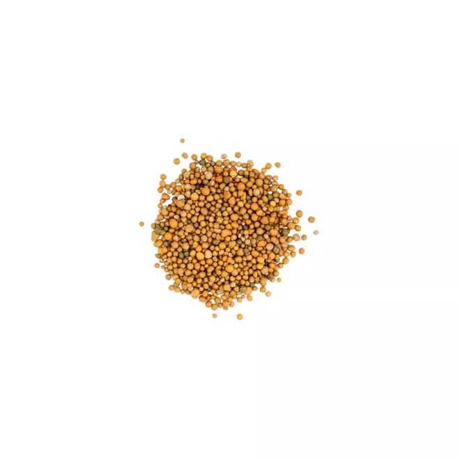 Scotts Osmocote Controlled Release Fertiliser for Pots, Planters image 3