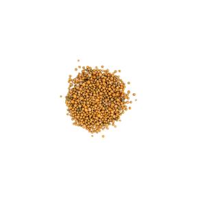 Scotts Osmocote Controlled Release Fertiliser for Pots, Planters image 3