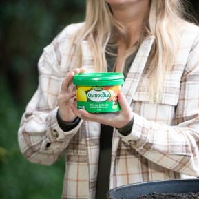 Scotts Osmocote® Controlled Release Fertiliser: Citrus & Fruit image 6