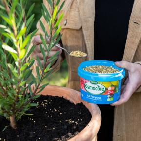 Scotts Osmocote® Controlled Release Fertiliser: All Purpose image 5