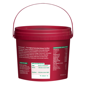Scotts Osmocote® Controlled Release Fertiliser: Roses, Gardenias, Azaleas & Camellias image 2