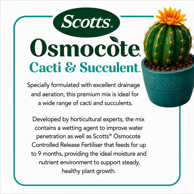 Scotts Osmocote® Cacti & Succulent Potting Mix image 8