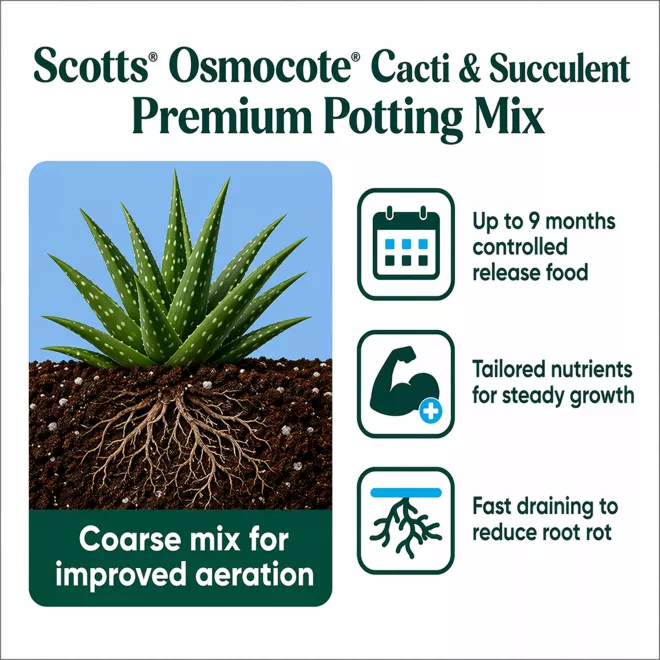 Scotts Osmocote® Cacti & Succulent Potting Mix image 4