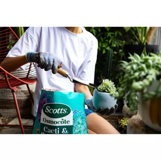 Scotts Osmocote® Cacti & Succulent Potting Mix image 6