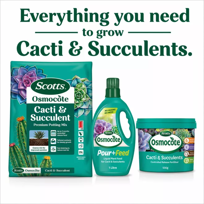 Scotts Osmocote® Cacti & Succulent Potting Mix image 10