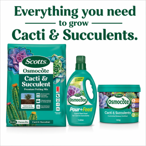 Scotts Osmocote® Cacti & Succulent Potting Mix image 10