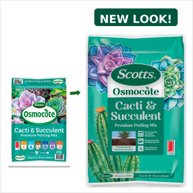 Scotts Osmocote® Cacti & Succulent Potting Mix image 3