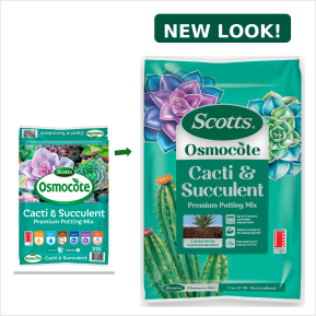 Scotts Osmocote® Cacti & Succulent Potting Mix image 3