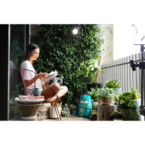 Scotts Osmocote® Cacti & Succulent Potting Mix image 9