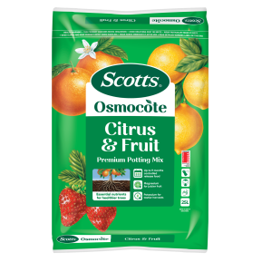 Scotts Osmocote® Citrus & Fruit Potting Mix main image