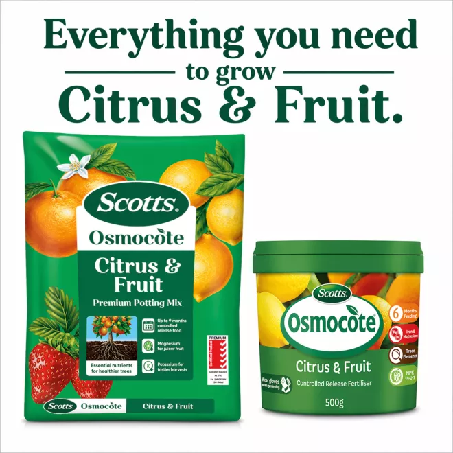 Scotts Osmocote® Citrus & Fruit Potting Mix image 9